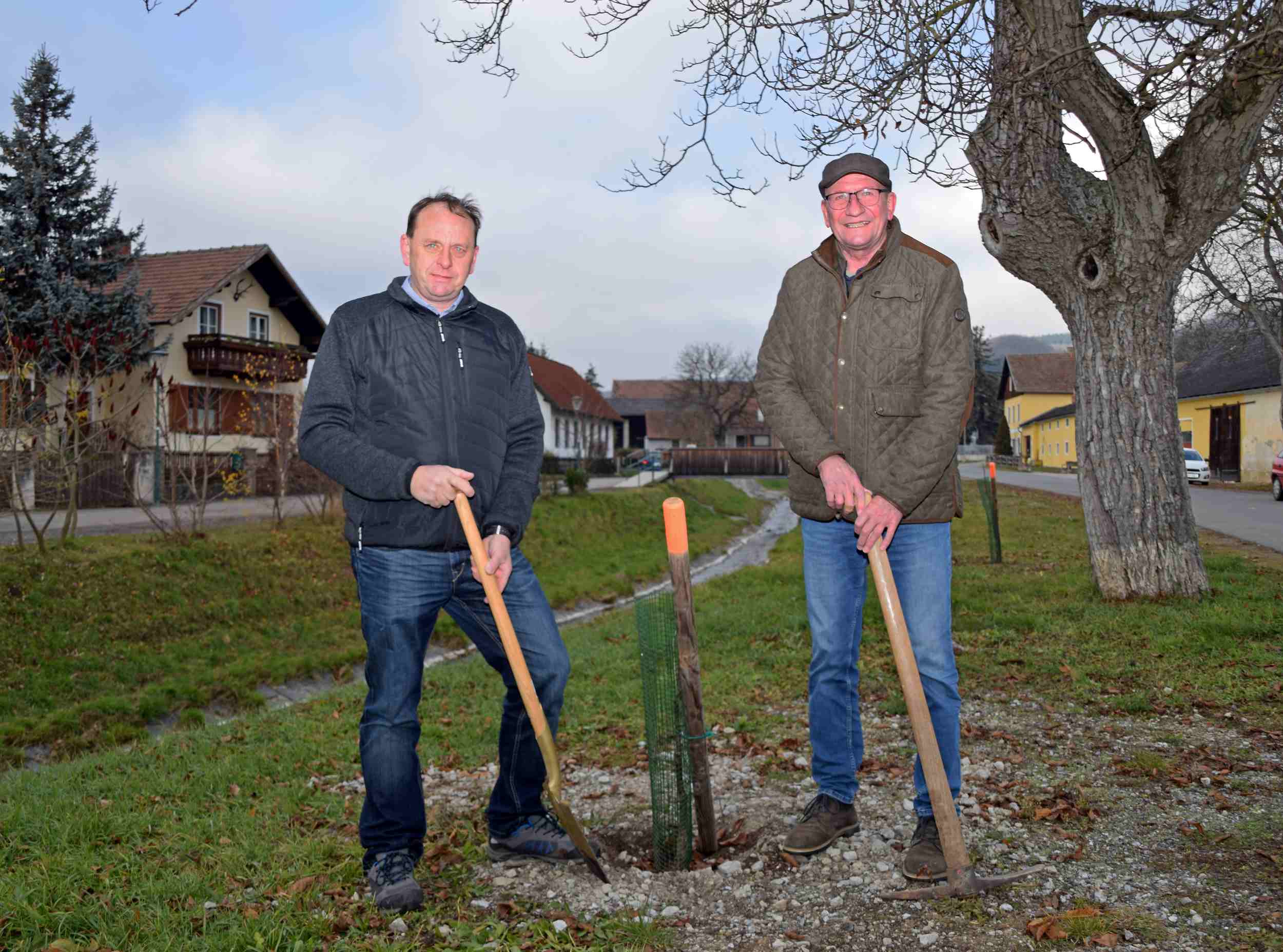 Ortsvorsteher Robert Lochner und Karl Pock (v. l.) kümmern sich um das Ortsbild von Mödring und setzten zwei neue Nussbäume.  Foto: Gabriele Hohenegger 